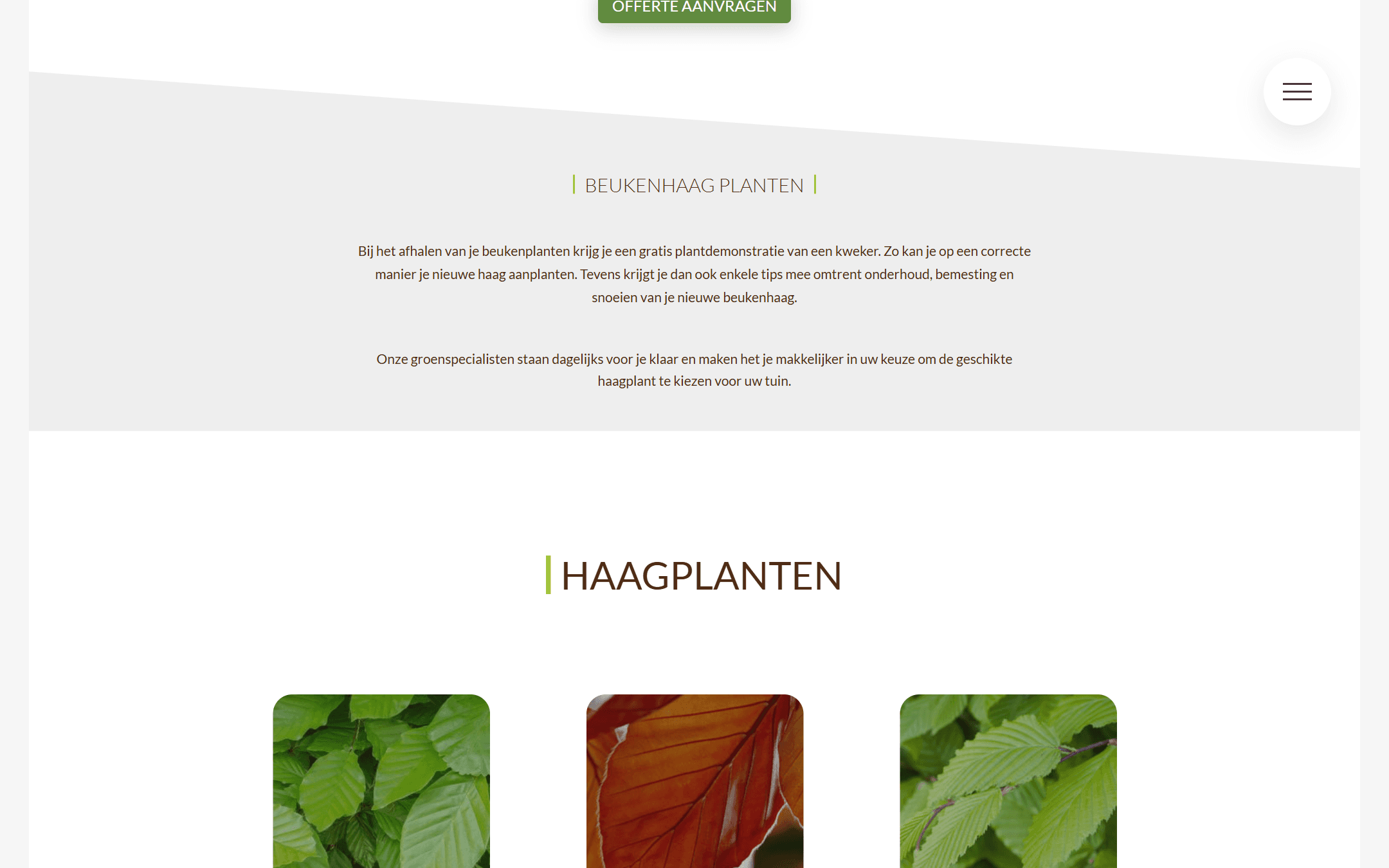 Beukenhaag product cards for the three plant types